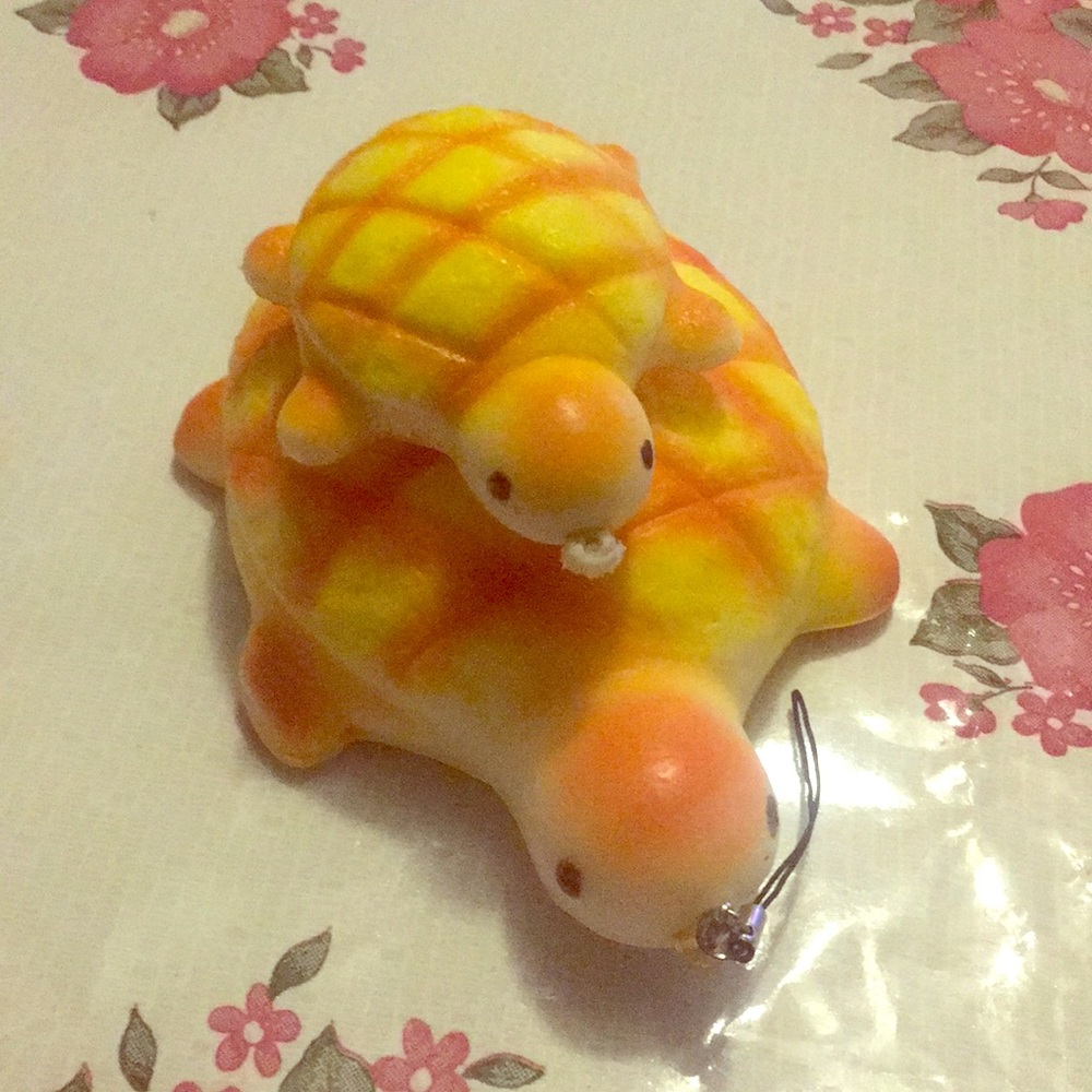 Melon pan turtle bun squishy